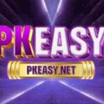 PKEasy Game