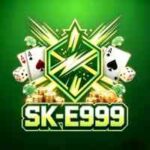 SKE999 Game